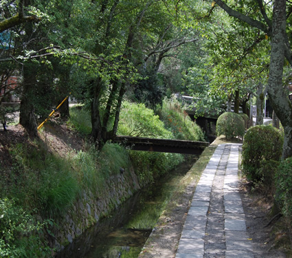 Kyoto Philosopher's Walk