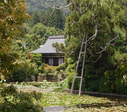 Ryoan-ji Temple