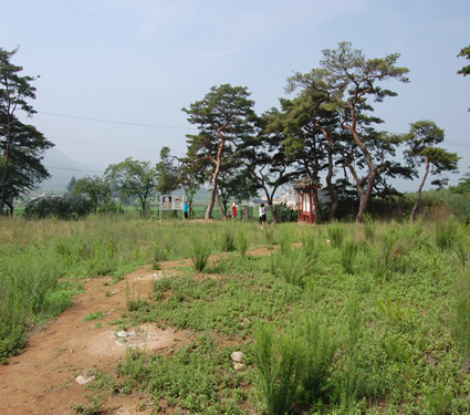 Gyeongju Najeong