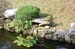 AKSStoneBridgePond1