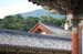 GyeongjuBulguksaTemple39