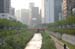 CheonggyecheonStream1