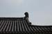 CheongjuHeungDeokTemple4
