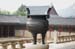 GyeongbokPalaceWaterContainer1