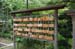 HiraizumiPrayeronWood1