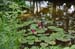 HiraizumiTempleGarden3