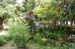 HiraizumiTempleGarden5