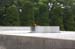 HiroshimaPeaceMemorialMuseum50