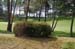 KanegasakiGolfCourse1