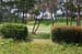 KanegasakiGolfCourse2