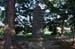 KanegasakiHostFamilyShrine3