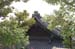 KyotoChioninTemple15