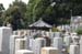 KyotoCemetery5