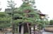 KyotoDaitokujiTemple5