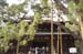 KyotoDaitokujiTemple9