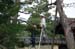 KyotoDaitokujiTempleMenPruningTrees1