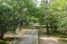 KyotoDaitokujiTempleMonksTrainingCourtyard