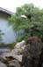 KyotoDaitokujiTempleRockGardenForbidden