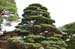KyotoJishojiZenTempleGardens12