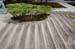 KyotoJishojiZenTempleGardens4