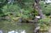 KyotoJishojiZenTempleGardens7
