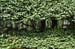 KyotoJishojiZenTempleLandscaping1