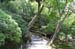 KyotoJishojiZenTemplePathway1