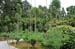 RyoanjiTempleGarden10