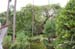 RyoanjiTempleGarden2