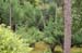 RyoanjiTempleGarden3