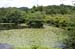 RyoanjiTemplePond2