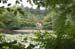 RyoanjiTemplePond3