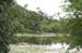 RyoanjiTemplePond6