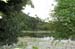RyoanjiTemplePond7