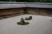 RyoanjiTempleRockGarden3