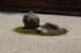 RyoanjiTempleRockGarden4