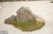RyoanjiTempleRockGarden6