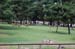 NaraDeerPark3