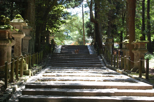 NaraKasugaShrine1