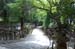 NaraKasugaShrine13