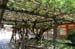 NaraKasugaShrine15