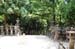 NaraKasugaShrine18