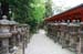 NaraKasugaShrine26