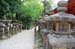 NaraKasugaShrine27