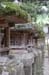 NaraKasugaShrine37
