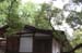 NaraKasugaShrine46