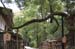 NaraKasugaShrine47