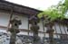NaraKasugaShrine50