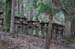 NaraKasugaShrine54
