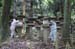 NaraKasugaShrine55